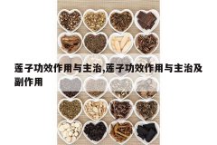 <b>���ӹ�Ч����������,���ӹ�Ч���������μ�������</b>