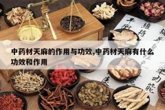 <b>��ҩ������������빦Ч,��ҩ��������ʲô��Ч������</b>