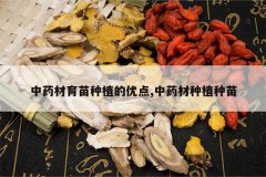 <b>��ҩ��������ֲ���ŵ�,��ҩ����ֲ����</b>