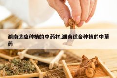 <b>������Ӧ��ֲ����ҩ��,�����ʺ���ֲ���в�ҩ</b>