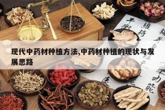 <b>�ִ���ҩ����ֲ����,��ҩ����ֲ����״�뷢չ˼·</b>