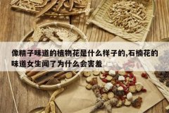 <b>����ζ����ֲ�ﻨ��ʲô���ӵ�,ʯ骻���ζ��Ů������Ϊʲô��</b>