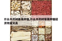 <b>ʲô��ҩ��������ֲ,ʲô��ҩ��������ֲ����Ч���ָ�</b>