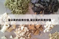 <b>�ѹ�Ӣ��Ӧ�ü�ֵ,�ѹ�Ӣ��ʵ�ü�ֵ</b>