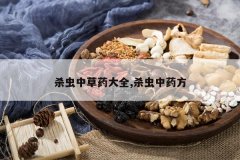 <b>ɱ���в�ҩ��ȫ,ɱ����ҩ��</b>