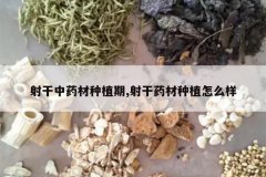 <b>�����ҩ����ֲ��,���ҩ����ֲ��ô��</b>