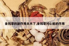 <b>��Ǯ�ݵĸ�����̫����,��Ǯ�ݶ����������</b>