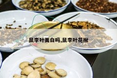 <b>����Ҷ������,����Ҷ���</b>