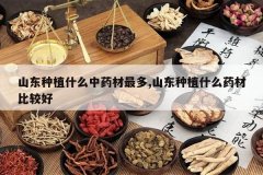 <b>ɽ����ֲʲô��ҩ�����,ɽ����ֲʲôҩ�ıȽϺ�</b>