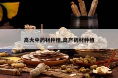 <b>�ߴ���ҩ����ֲ,�߲�ҩ����ֲ</b>