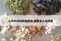 <b>С����ҩ����ֲ����,������С������</b>