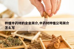 <b>��ֲ��ҩ�ĵ���ҵ���,��ҩ����ֲ��˾�����ôд</b>