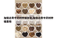 <b>�Ӹ������ҩ����ֲЭ��,�Ӹ������ҩ����ֲ����</b>