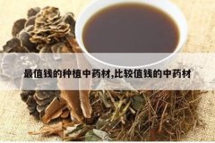 <b>��ֵǮ����ֲ��ҩ��,�Ƚ�ֵǮ����ҩ��</b>