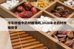 <b>������ֲ��ҩ��׬Ǯ��,2020����ҩ����ֲǰ��</b>