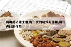 <b>��ɽ����������,��ɽ���Ĺ�Ч������,��ɽ���ĸ�����</b>