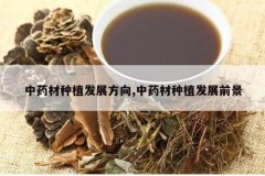 <b>��ҩ����ֲ��չ����,��ҩ����ֲ��չǰ��</b>