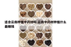 <b>�ʺ�������ֲ��ҩ����,������ҩ����ֲʲô��׬Ǯ</b>