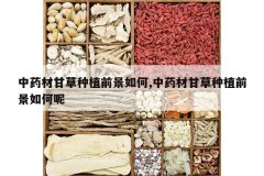 <b>��ҩ�ĸʲ���ֲǰ�����,��ҩ�ĸʲ���ֲǰ�������</b>