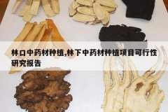 <b>�ֿ���ҩ����ֲ,������ҩ����ֲ��Ŀ�������о�����</b>