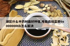 <b>����ʲô��ҩ�������ֲ,������������0x0000006b��ô���</b>