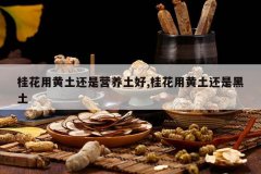 <b>���û�������Ӫ������,���û������Ǻ���</b>