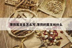 <b>����Ӣ������ôд,���ɵ�Ӣ�Ľ�ʲô</b>