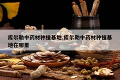 <b>�������ҩ����ֲ����,�������ҩ����ֲ����������</b>