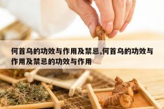 <b>�����ڵĹ�Ч�����ü�����,�����ڵĹ�Ч�����ü����ɵĹ�Ч����</b>