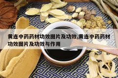 <b>������ҩҩ�Ĺ�ЧͼƬ����Ч,������ҩҩ�Ĺ�ЧͼƬ����Ч������</b>