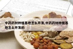 <b>��ҩҩ����ֲ������ô����,��ҩҩ����ֲ������ô������</b>