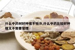 <b>ʲô��ҩ�ĺ���ֲ������,ʲô��ҩ�ȽϺ���ֲ�ֲ���Ҫ����</b>