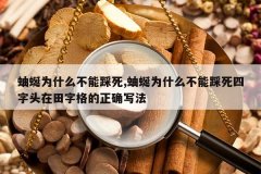 <b>����Ϊʲô���ܲ���,����Ϊʲô���ܲ�������ͷ�����ָ����ȷд</b>