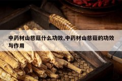 <b>��ҩ��ɽ�ȹ�ʲô��Ч,��ҩ��ɽ�ȹ��Ĺ�Ч������</b>