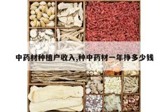 <b>��ҩ����ֲ������,����ҩ��һ��������Ǯ</b>