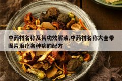 <b>��ҩ�����Ƽ��书Ч���,��ҩ�����ƴ�ȫ��ͼƬ���Ƹ��ֲ����䷽</b>