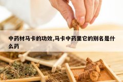 <b>��ҩ�������Ĺ�Ч,������ҩ�����ı�����ʲôҩ</b>