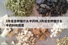 <b>3���ʺ���ֲʲô��ҩ��,3���ʺ���ֲʲô��ҩ�ĺ��߲�</b>