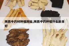 <b>������ҩ����ֲ��վ,������ҩ��ֲʲôǰ����</b>