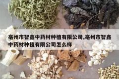 <b>������������ҩ����ֲ���޹�˾,������������ҩ����ֲ���޹�˾��</b>