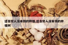 <b>�ʺ�����û��Ǯ����ֲ,�ʺ�����û��Ǯ����ֲ��</b>