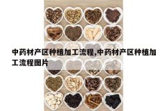 <b>��ҩ�Ĳ�����ֲ�ӹ�����,��ҩ�Ĳ�����ֲ�ӹ�����ͼƬ</b>