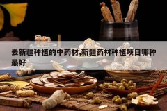 <b>ȥ�½���ֲ����ҩ��,�½�ҩ����ֲ��Ŀ�������</b>