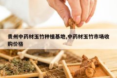 <b>������ҩ��������ֲ����,��ҩ�������г��չ��۸�</b>