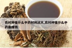 <b>ũ����ֲʲô��ҩ�������,ũ����ֲʲô��ҩ��׬Ǯ</b>