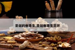 <b>ʥ�����μ���,ʥ���μ�������</b>