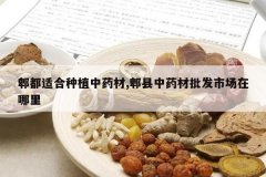 <b>ۯ���ʺ���ֲ��ҩ��,ۯ����ҩ�������г�������</b>