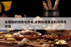 <b>ˮ�����Ĺ�Ч������,ˮ�����������Ĺ�Ч������</b>