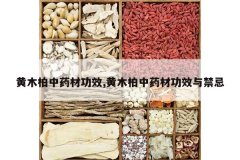 <b>��ľ����ҩ�Ĺ�Ч,��ľ����ҩ�Ĺ�Ч�����</b>