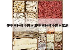 <b>��������ֲ��ҩ��,��������ֲ��ҩ�Ļ���</b>